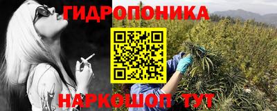 mdpv Рыбинск