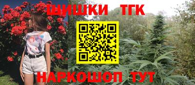 apvp Рузаевка
